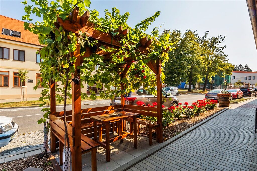 Pergola porostlá vinnou révou s posezením vedle domu